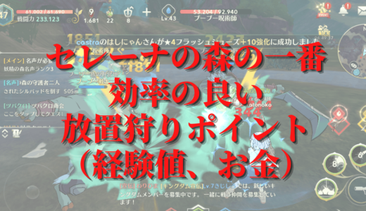[ニノクロ]セレーナの森後半での放置狩り（経験値、金策）ポイント比較